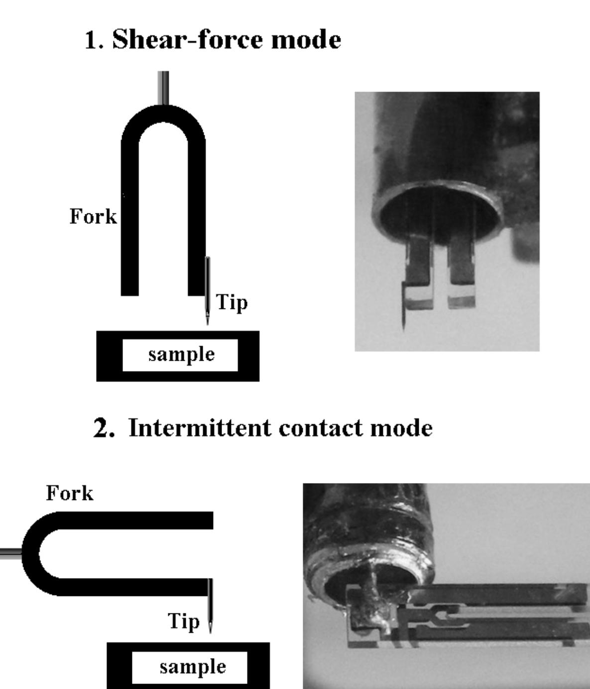 (PDF) Tapping and shear-mode atomic force microscopy using a quartz ...