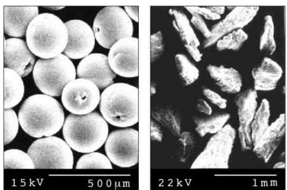 A scanning electron microscope image of representative al