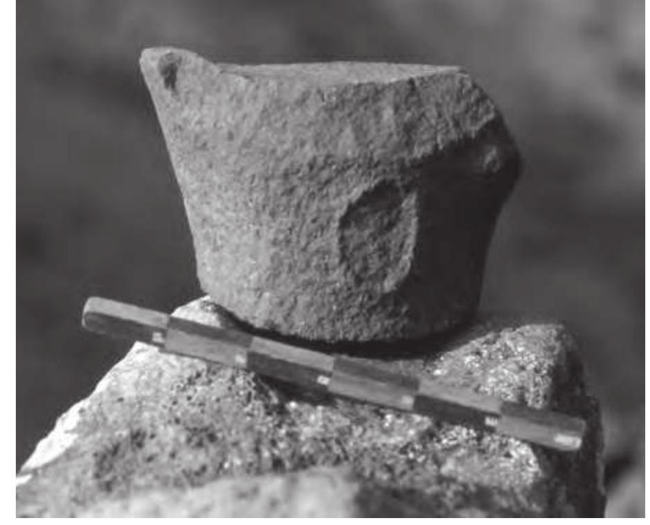 Fig. 1.1. Chalcolithic pillar figurine from Gamla. 
