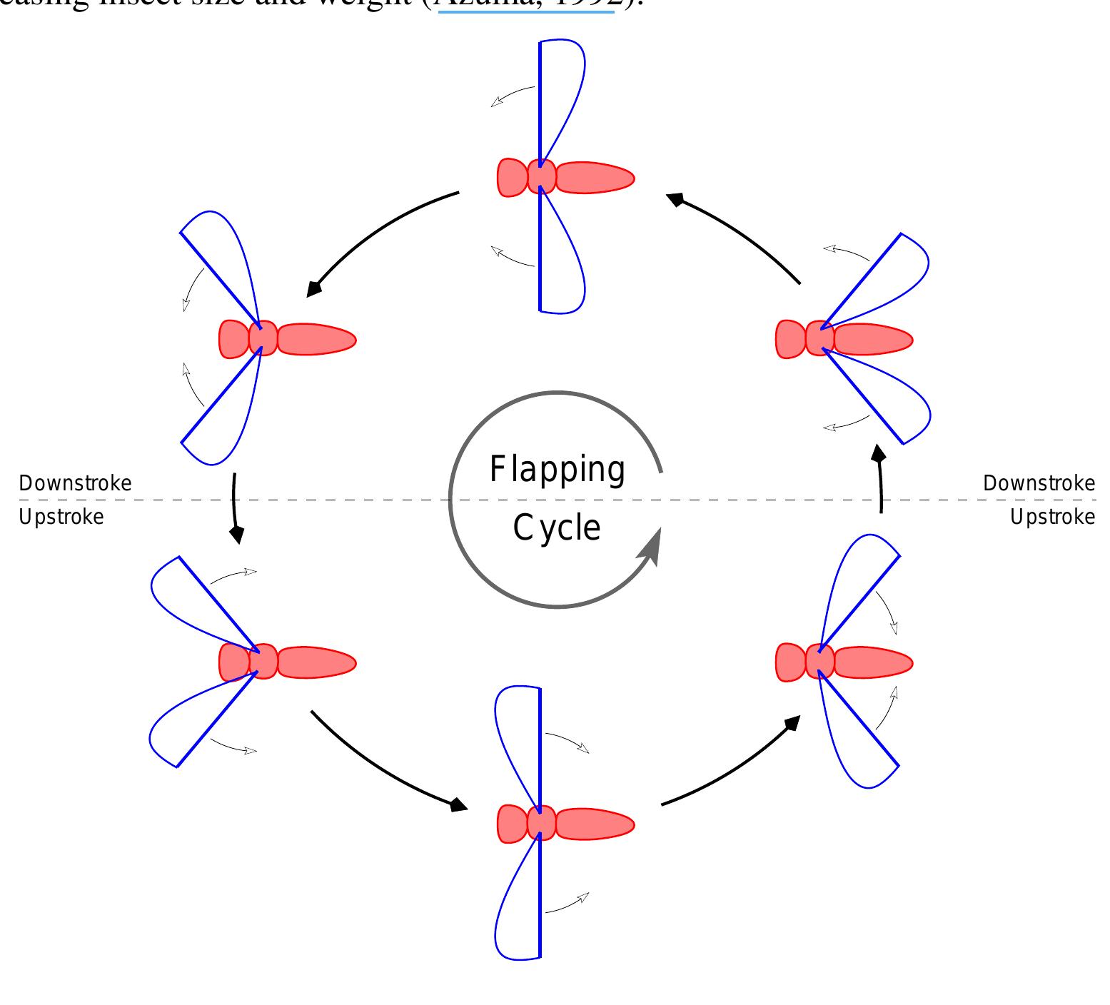 (PDF) Aerodynamic modelling of insect-like flapping flight for micro ...