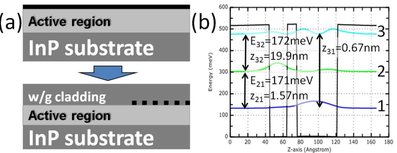 Longitudinal Cladding Pattern Figure 1 - from InGaAs/AlInAs quantum cascade laser sources