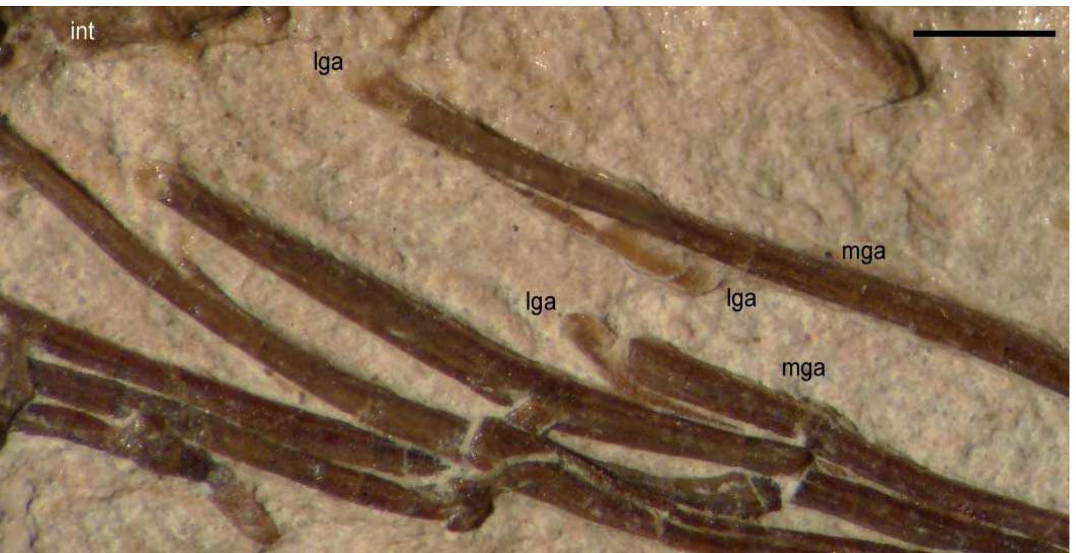 Istinkto – Ceramiche Brennero, image size:2126x1092