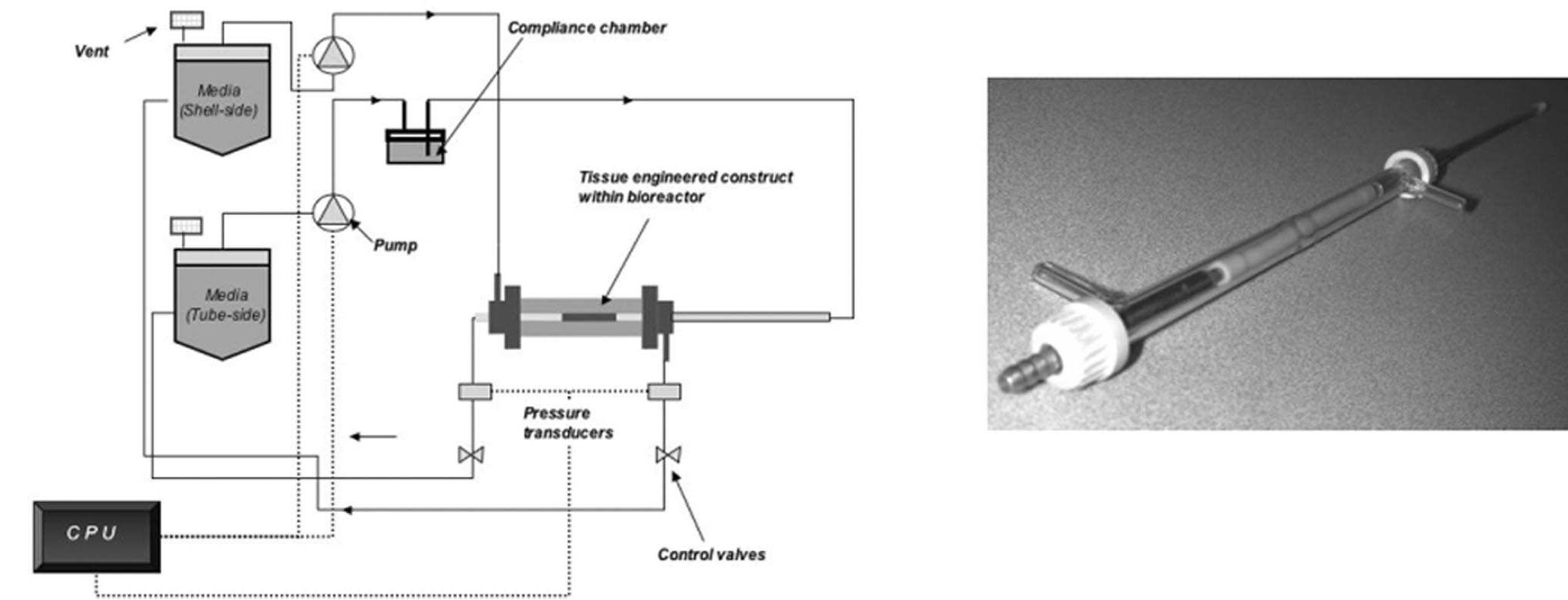 (left), schematic diagram of the bioreactor and process flow