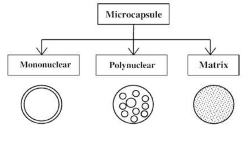 (PDF) An Overview On Microencapsulation