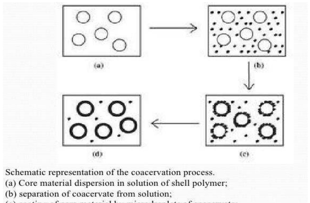 Figure 4 - An Overview On Microencapsulation
