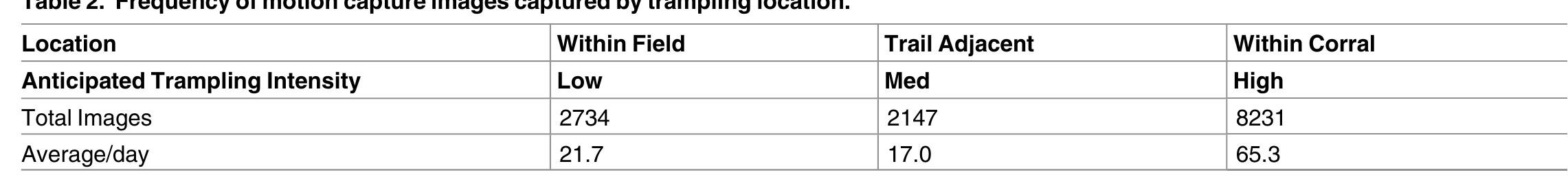 Table 2. Frequency of motion capture images captured by trampling location
