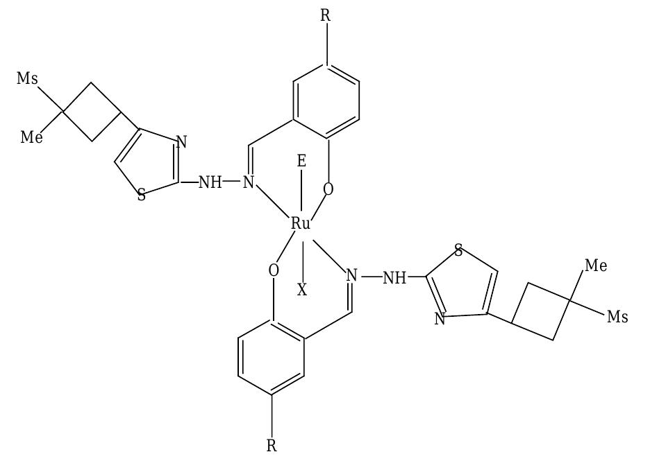 Suggested structure of the ru!’ schiff base complexes (r, x