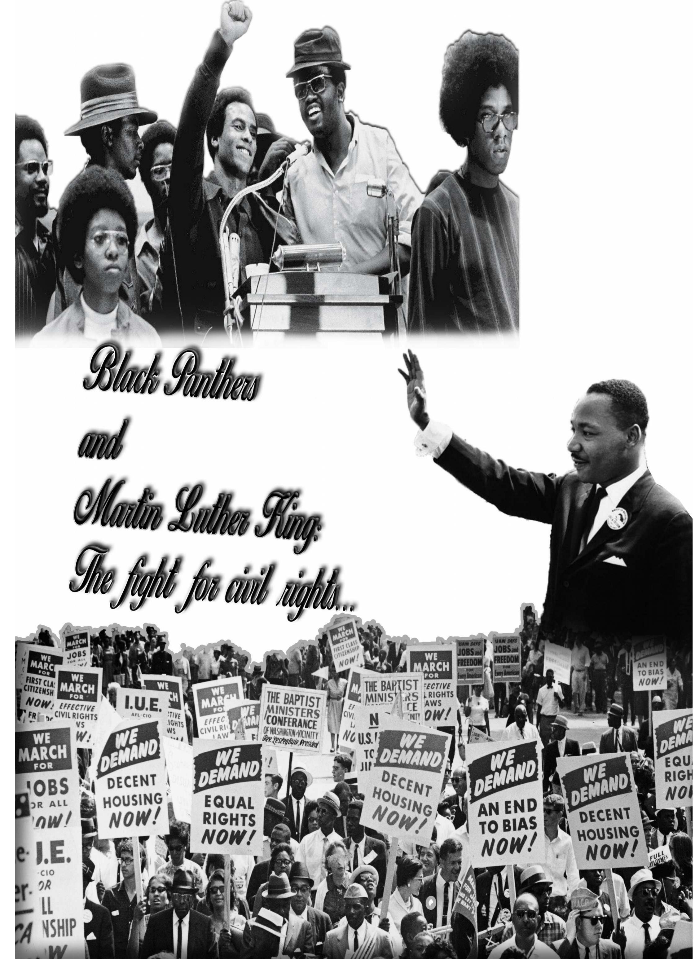 (PDF) Black Panthers and Martin Luther King: The fight for civil rights