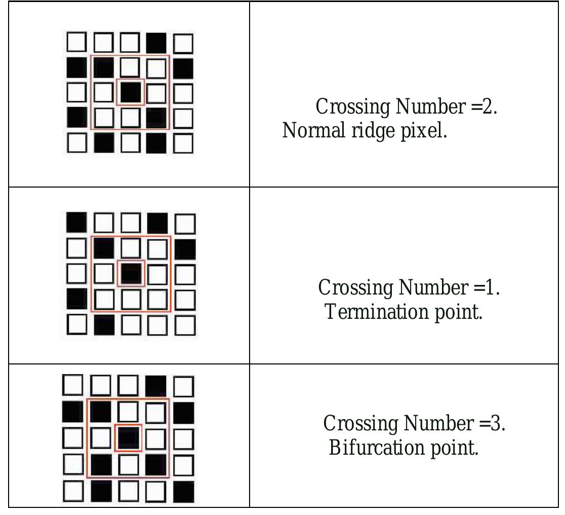 (PDF) FINGERPRINT RECOGNITION USING MINUTIA SCORE MATCHING
