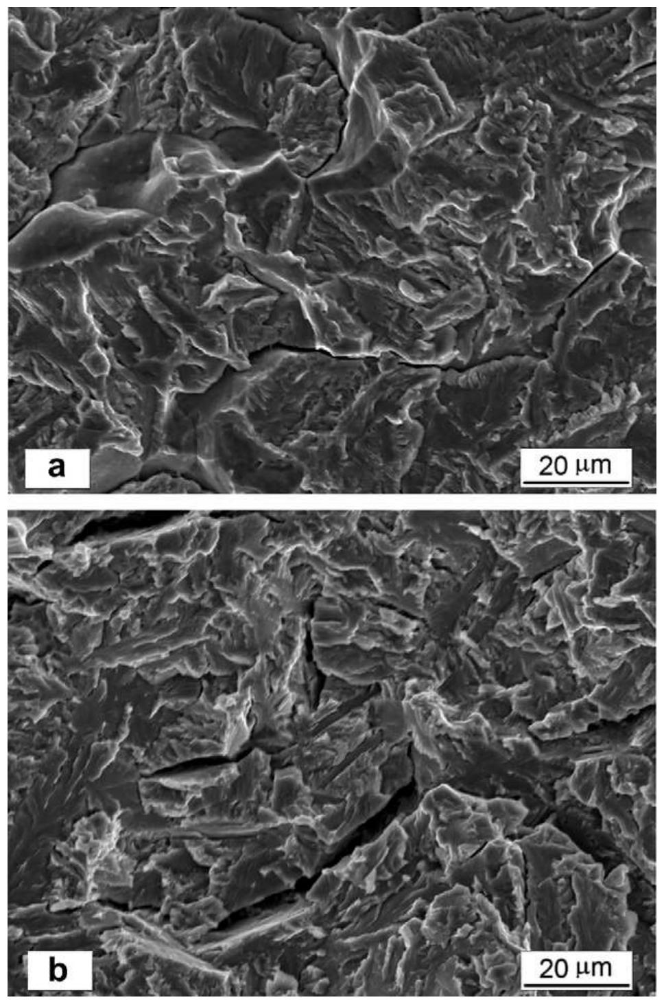 (PDF) Fatigue crack propagation under gaseous hydrogen in a ...