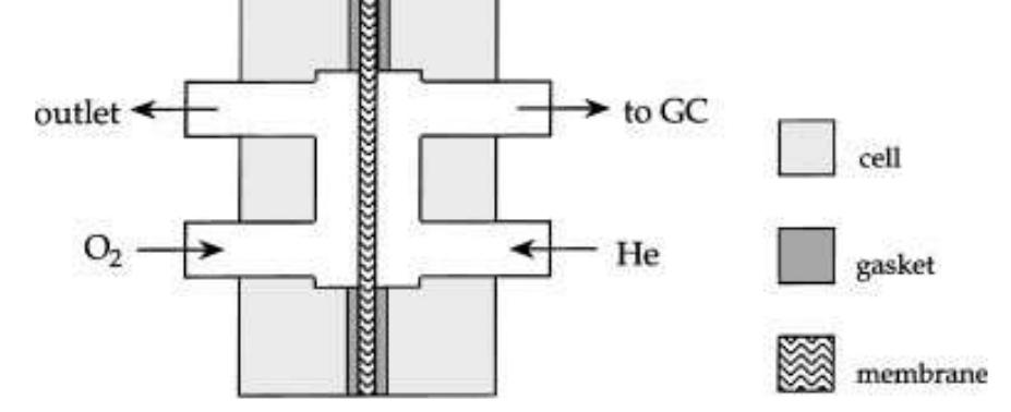 Fig. 1. The cell used for permeability measurements. 