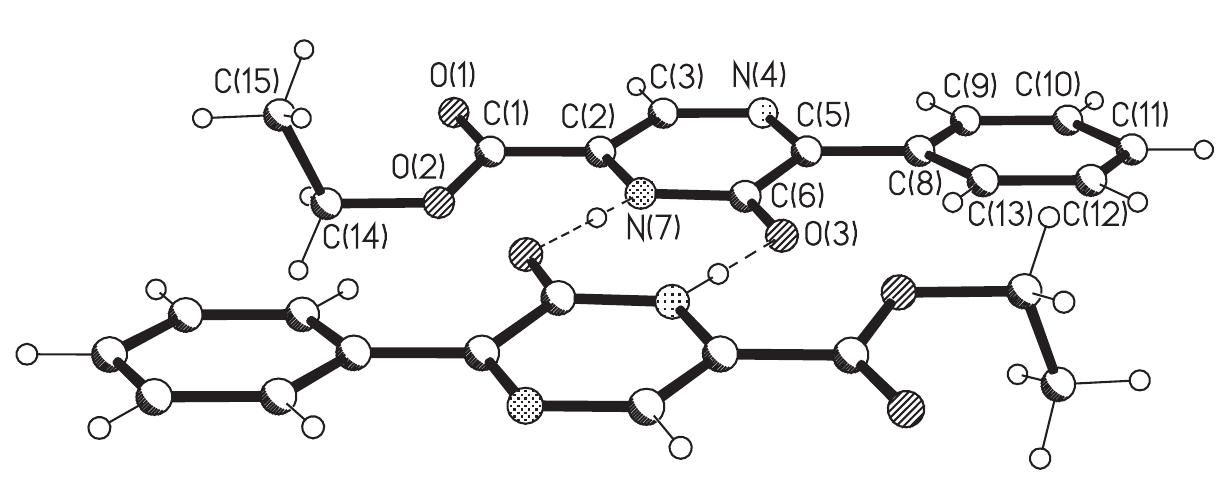 View of centrosymmetric dimer in the structure of polymorphs