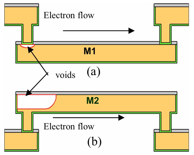 Side-view schematic of void formation in m1 and m2