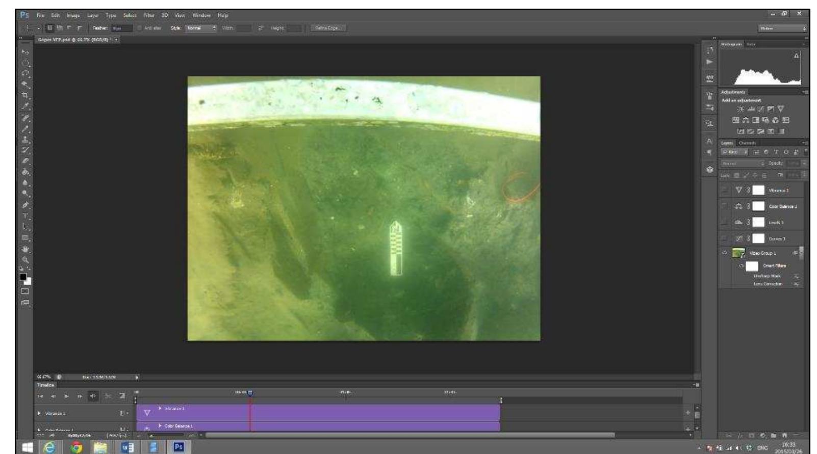 Figure 3-43. The original GoPro video footage before the color and distortion correction (Image: Y amafune)  number of frames per second). 