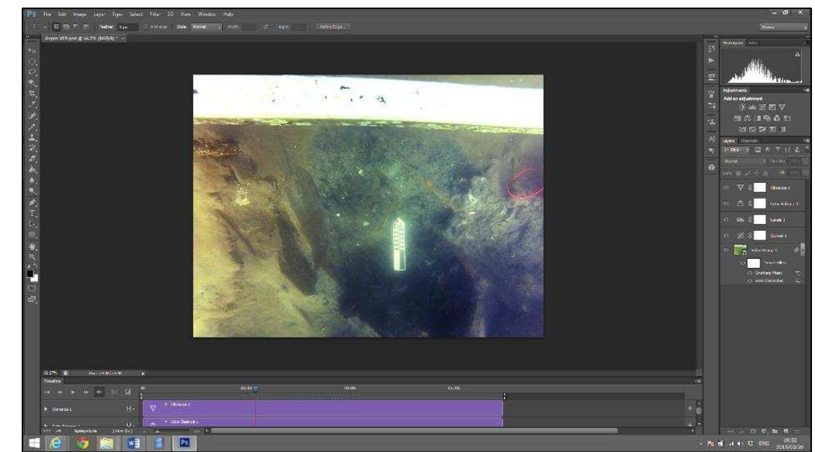Figure 3-44. GoPro video footage after the color and distortion correction (Image: Y amafune) 