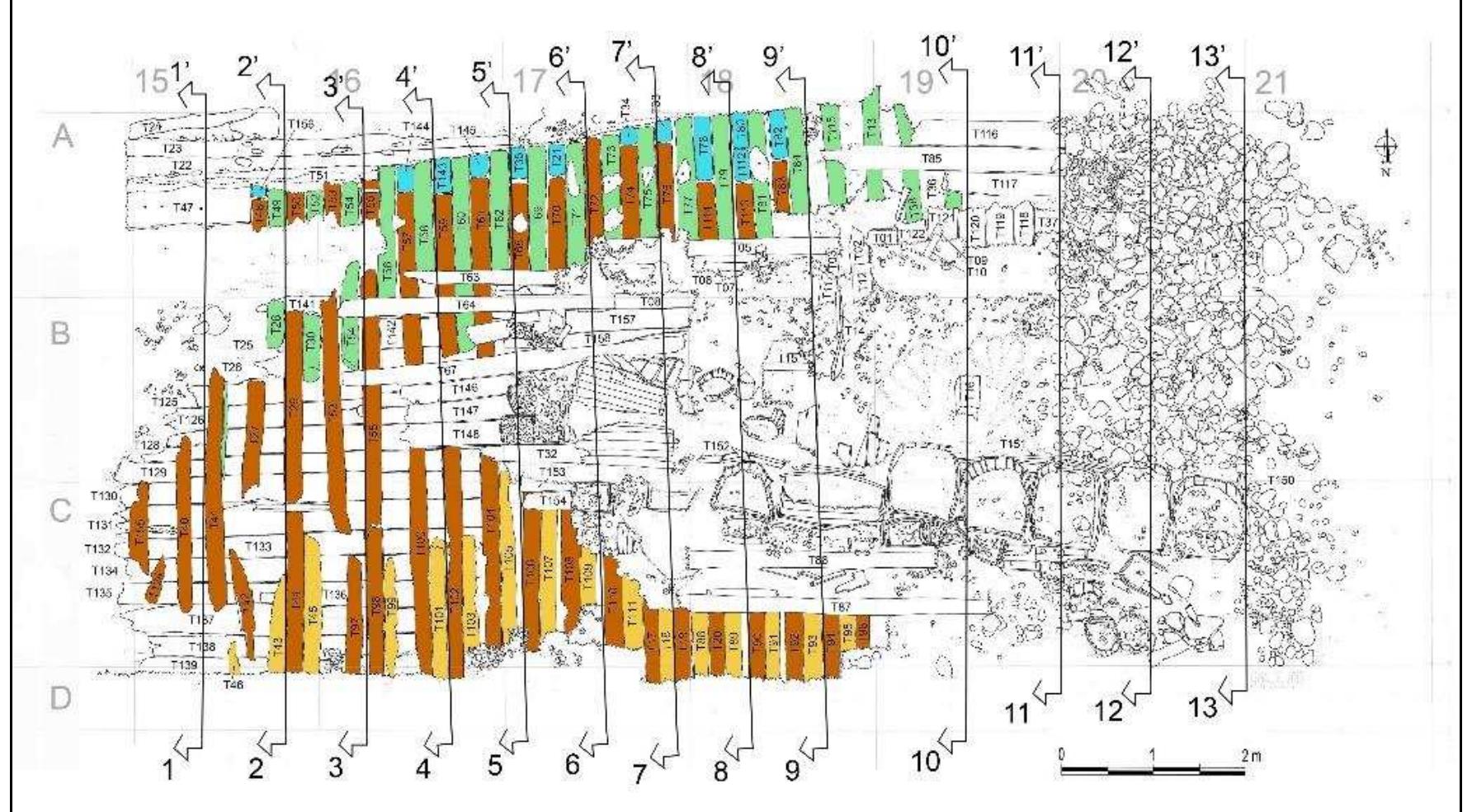 Figure 3-58. 2D site plan of the Gnalié shipwreck from 2013 filed season with positions of the cross sections. (Image: Reprinted with permission from Castro, 2014b) 