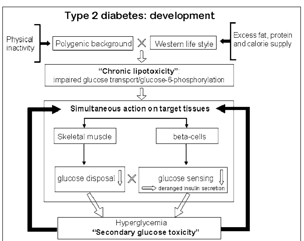 PDF) Pancreas transplantation: An update