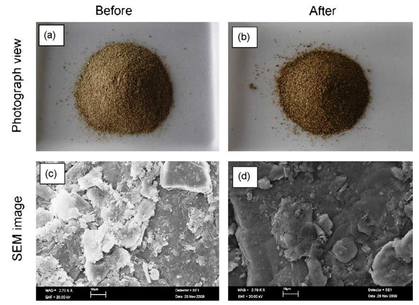 Fig. 2. The photograph views and SEM images of expanded VMT before and after CA-LA impregnation. 