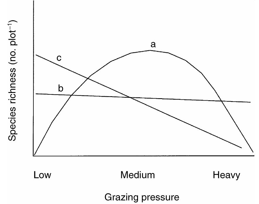 (PDF) Relationships between biomass and plant species richness in arid ...