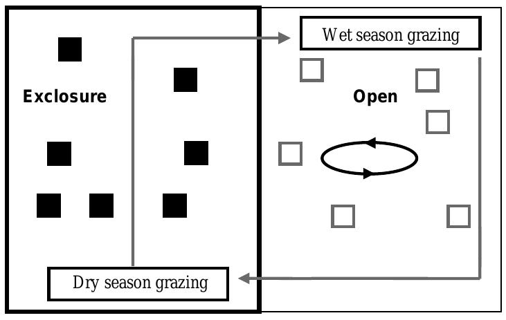 (PDF) Relationships between biomass and plant species richness in arid ...