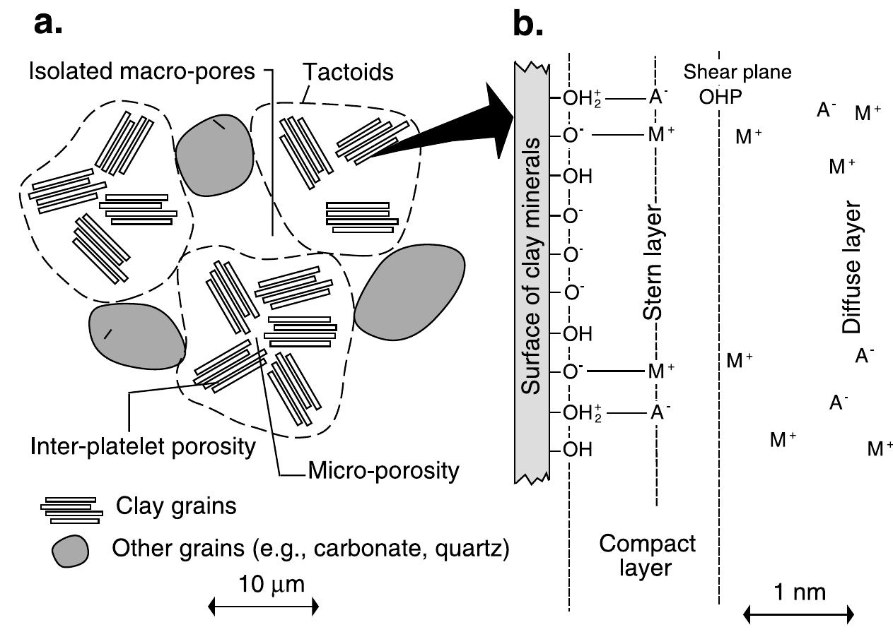 Diffuse Layer Figure 1 - from Characterization of transport properties of