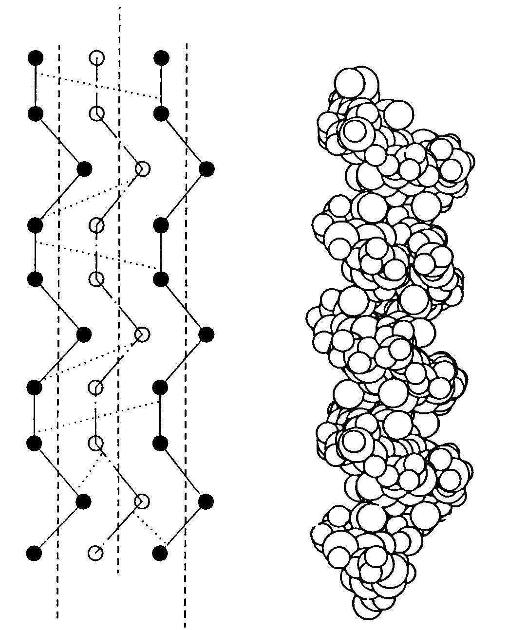 Schematic diagram of the collagen triple helix structure.