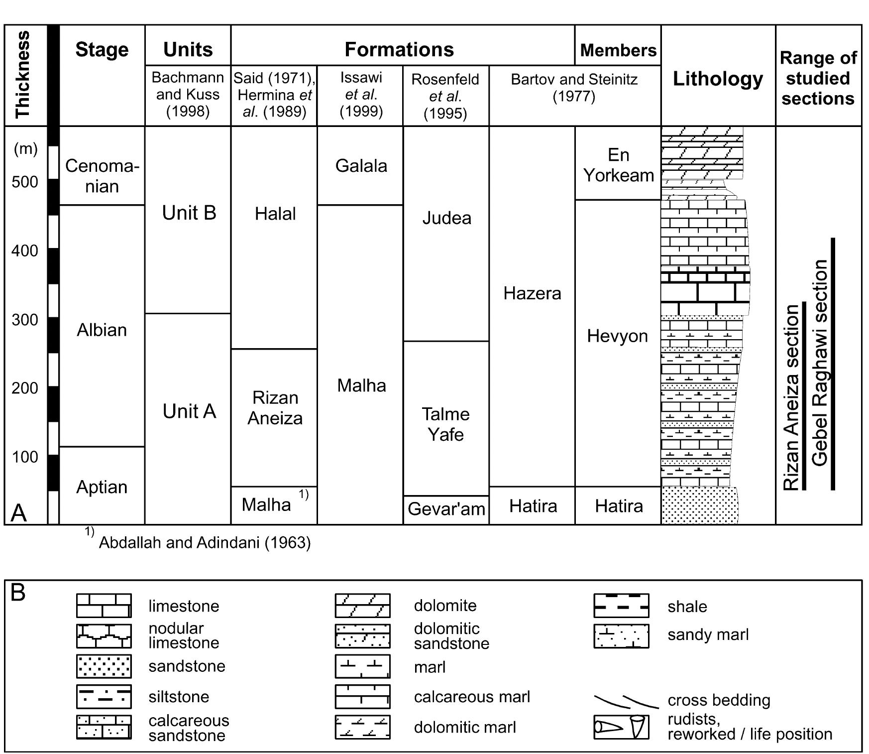 (PDF) Upper Aptian-albian Rudist Bivalves from Northern Sinai, Egypt
