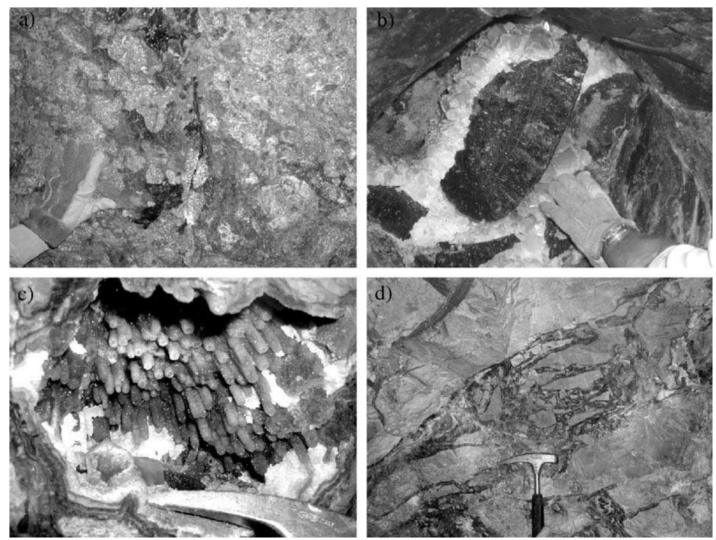 (PDF) Fluid characteristics of the world-class, carbonate-hosted Las ...