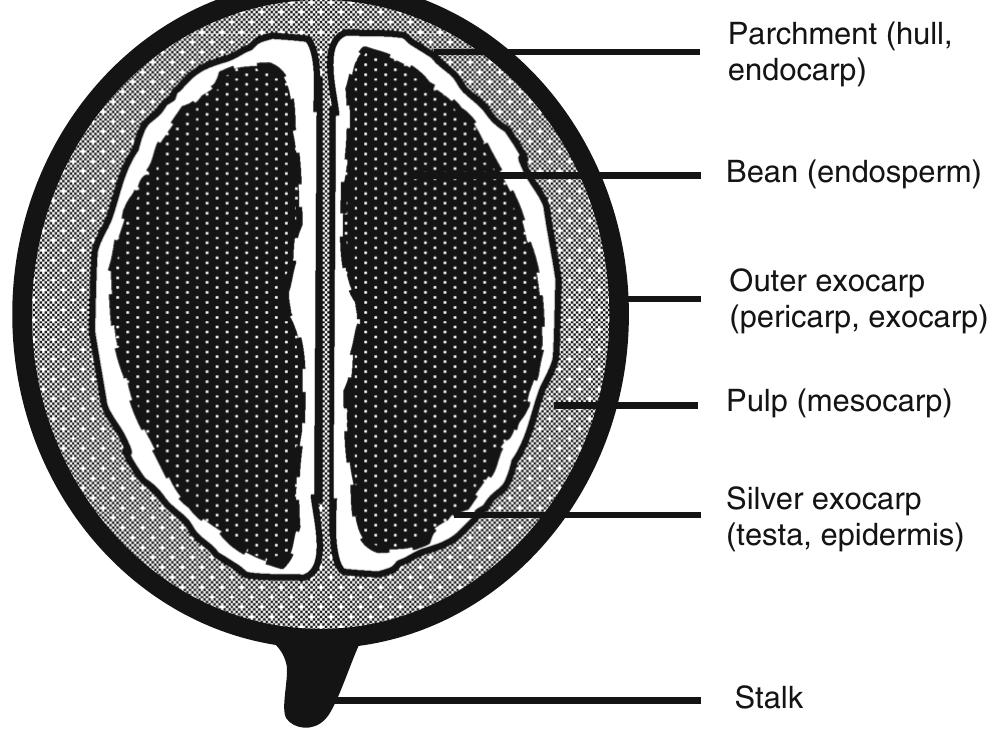 Figure 1 - from Isolation of cellulolytic bacteria,