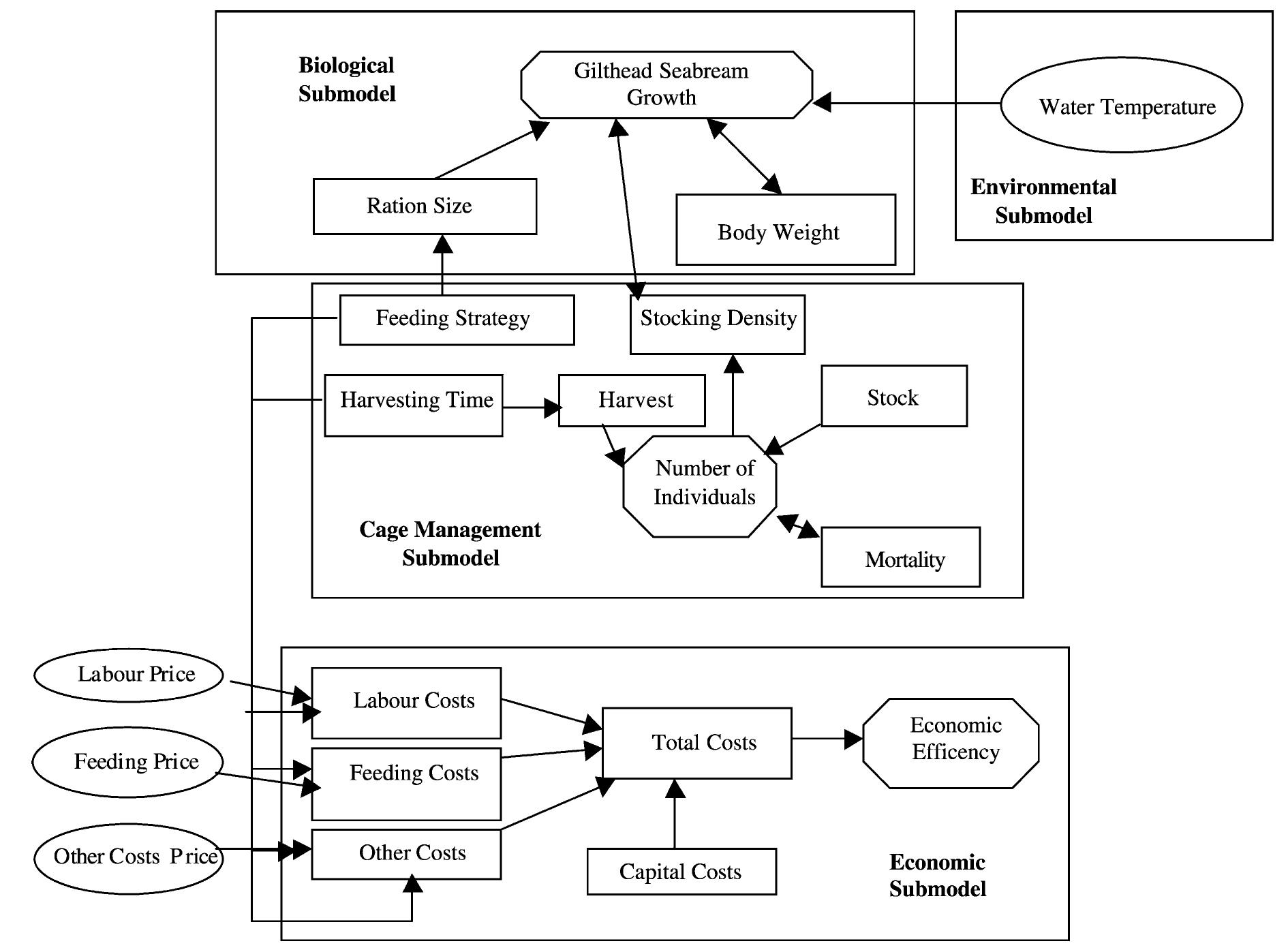 (PDF) A growth model for gilthead seabream ( Sparus aurata