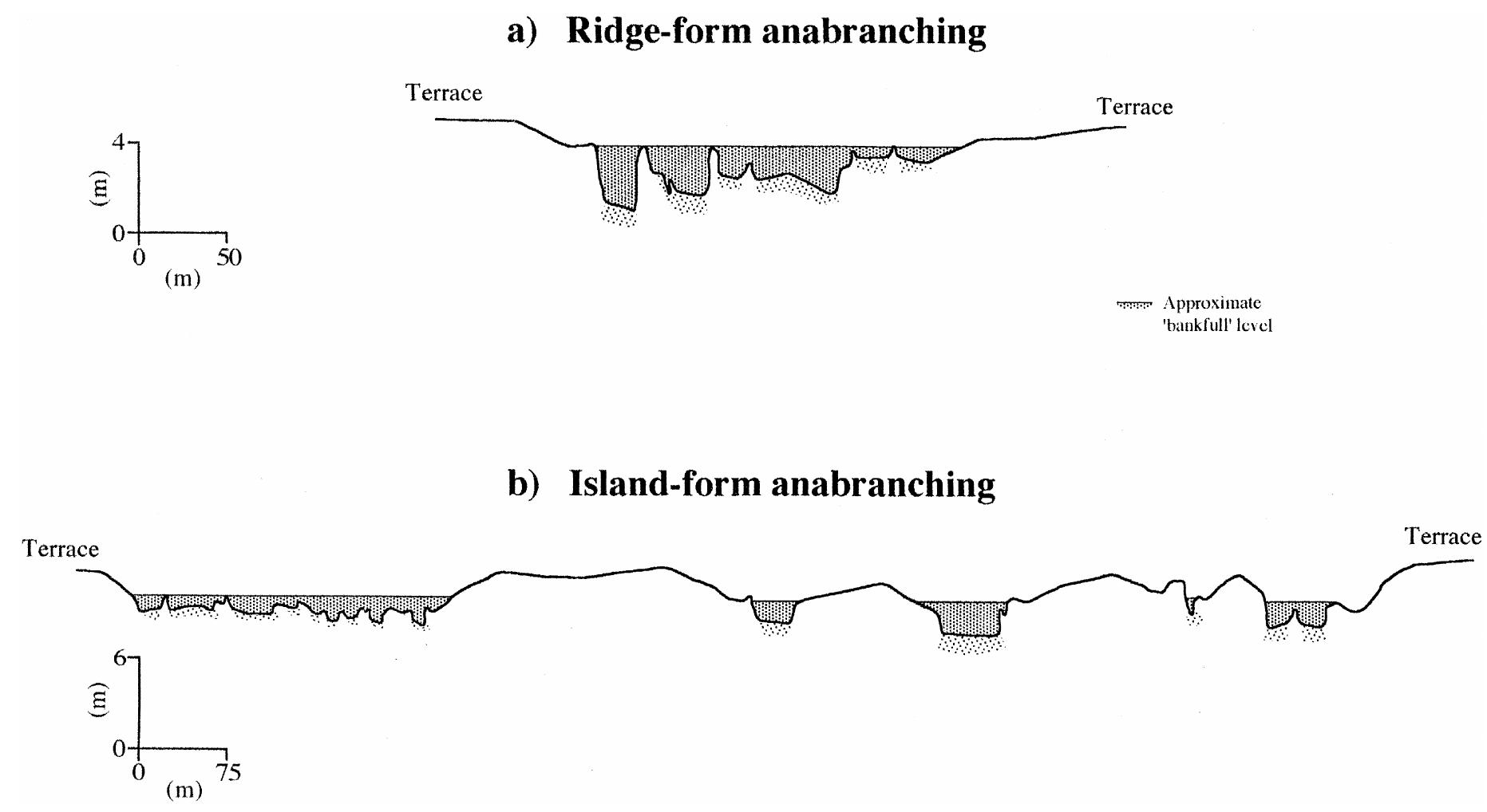 (PDF) Anabranching rivers on the Northern Plains of arid central Australia