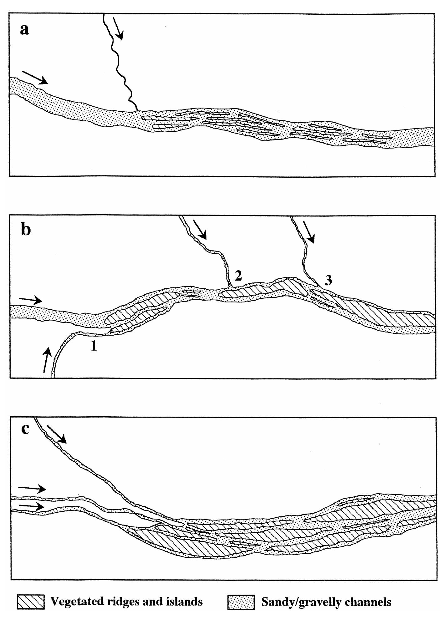 (PDF) Anabranching rivers on the Northern Plains of arid central Australia