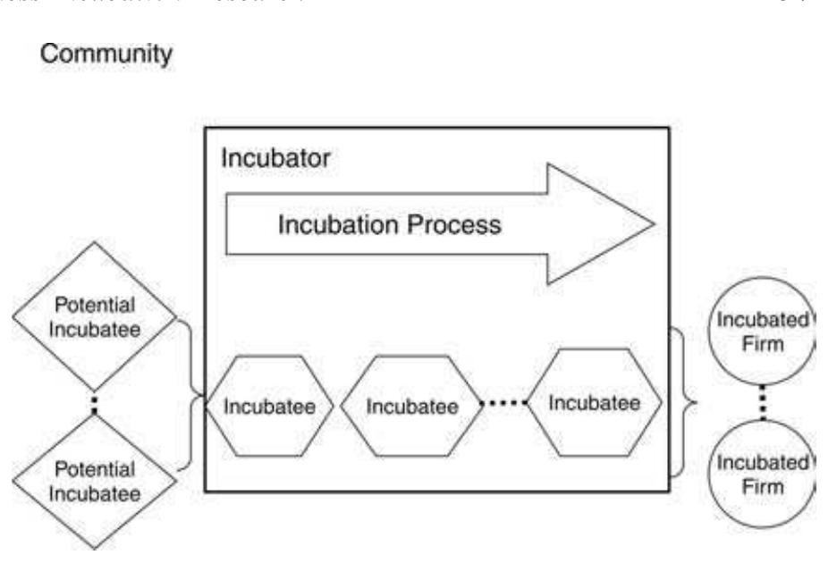 Figure 1 - from A Systematic Review of Business Incubation