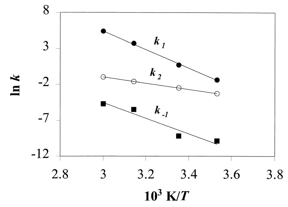 Fig. 4. Kinetic constants as a function of 1/T. From the slopes of these curves, activation energies (E,) were obtained by applying the Arrhenius equation. 