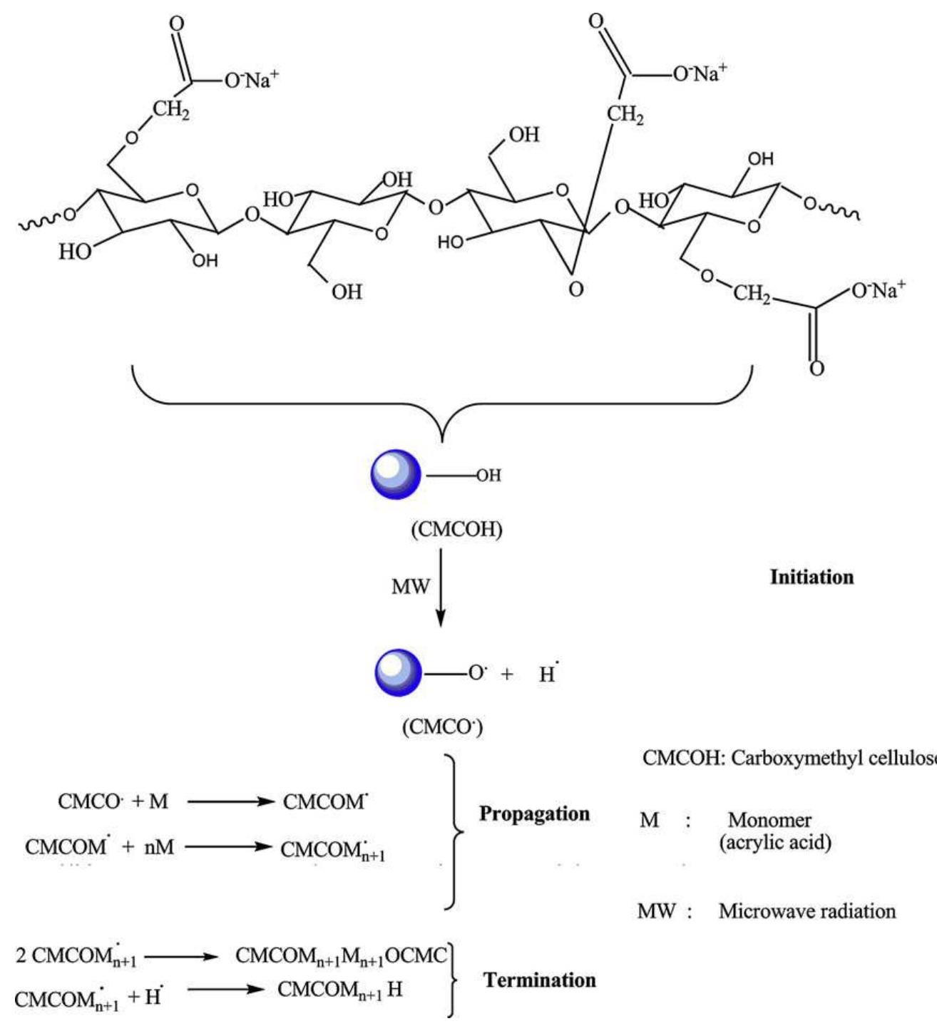 Schematic representation of mechanism for “microwave