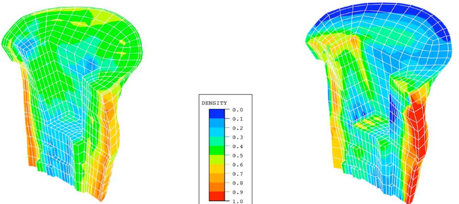 Remodelling Tibia Figure 4 - from Lean Manufacturing