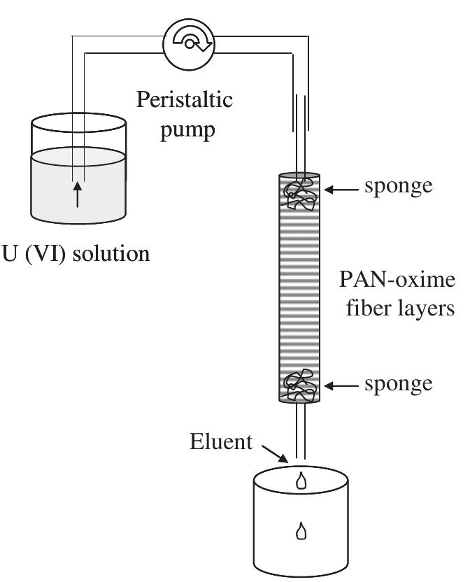 Fig. 1. Schematic representation of experimental setup of column experiment. 