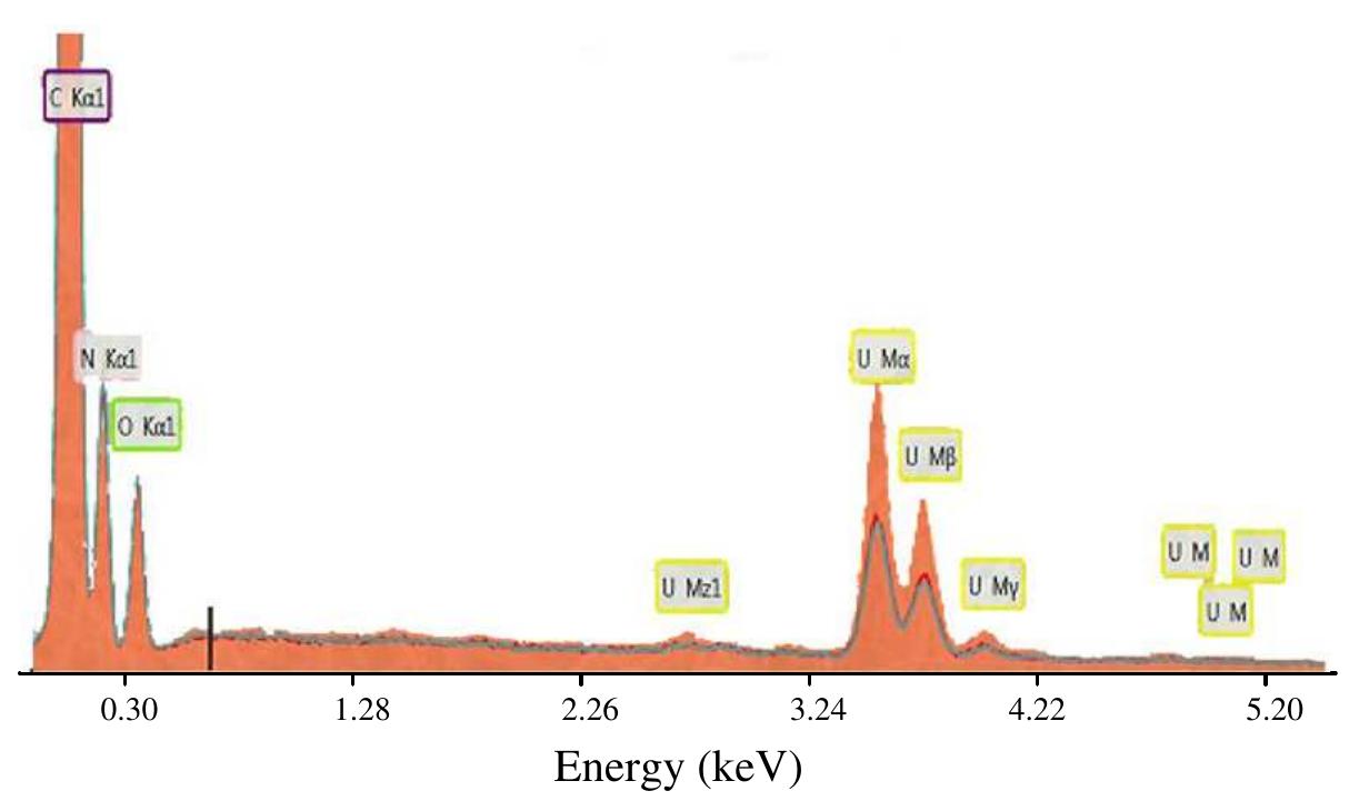 Fig. 4. EDX spectrum of amidoximated PAN fiber mat after uranyl ion sorption at pH 4. 