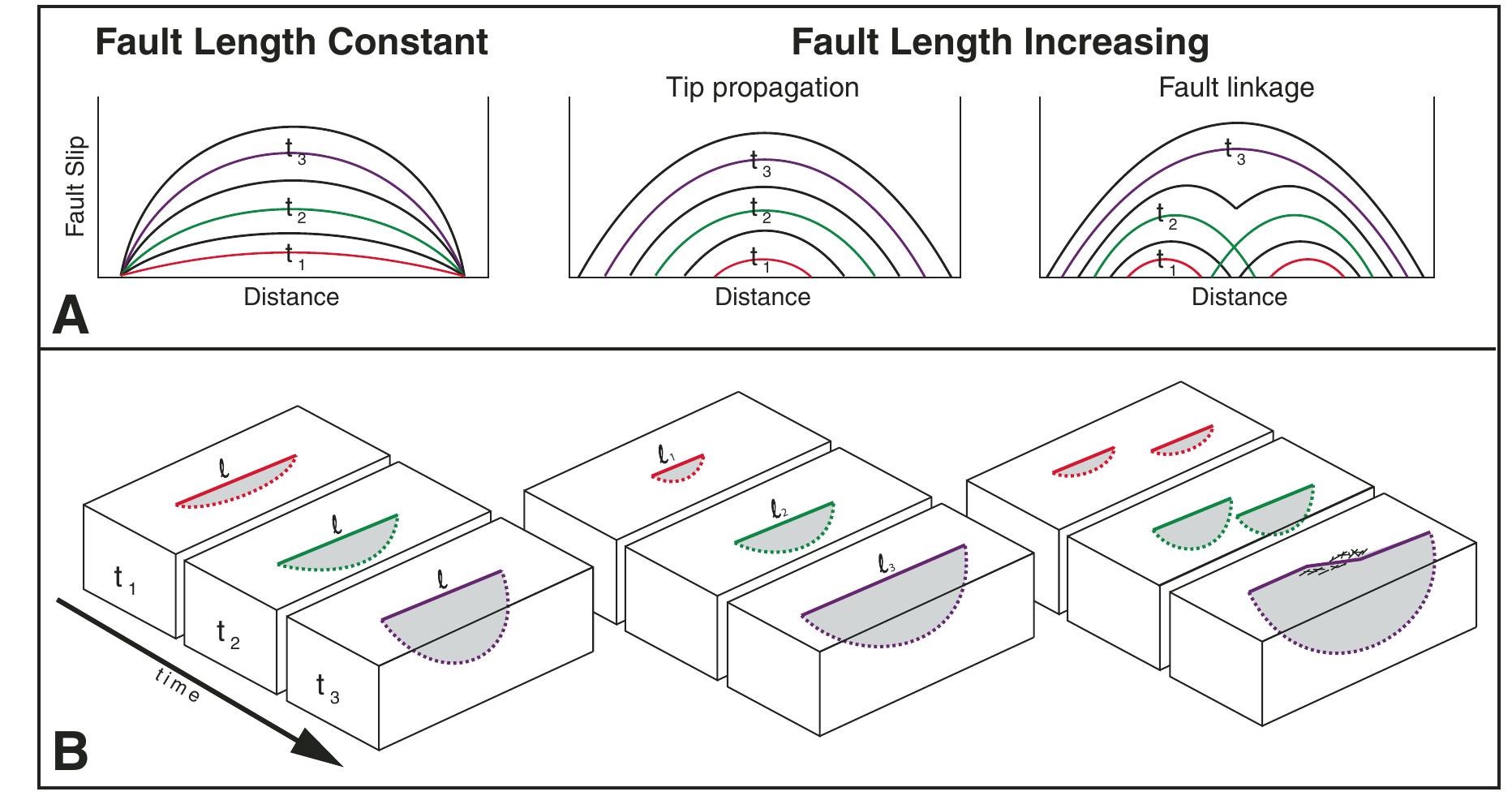 Schematic diagrams, showing models for the accumulation of