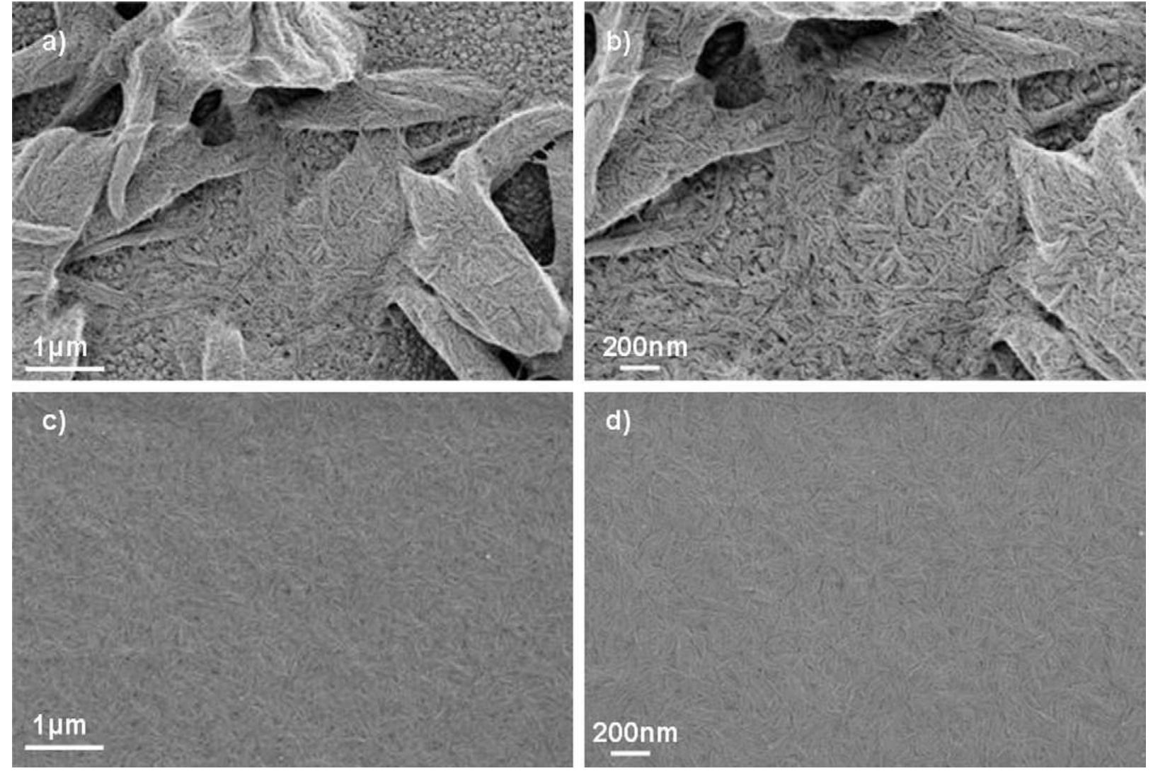 (PDF) Multifunctional bionanocomposite films of poly(lactic acid ...