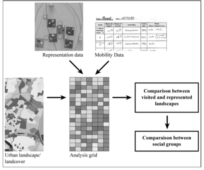 Figure 6.1. General procedure for landscape analysis  — other cells: these are generally cells with a landscape surface of <10% of the total area of the cell, or that do not correspond to any of the other cell categories. 