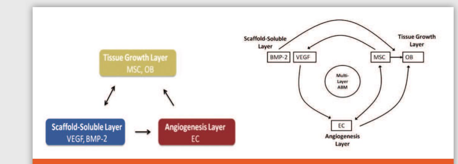 Figure 1 - from Modeling and Control of Biological Systems: