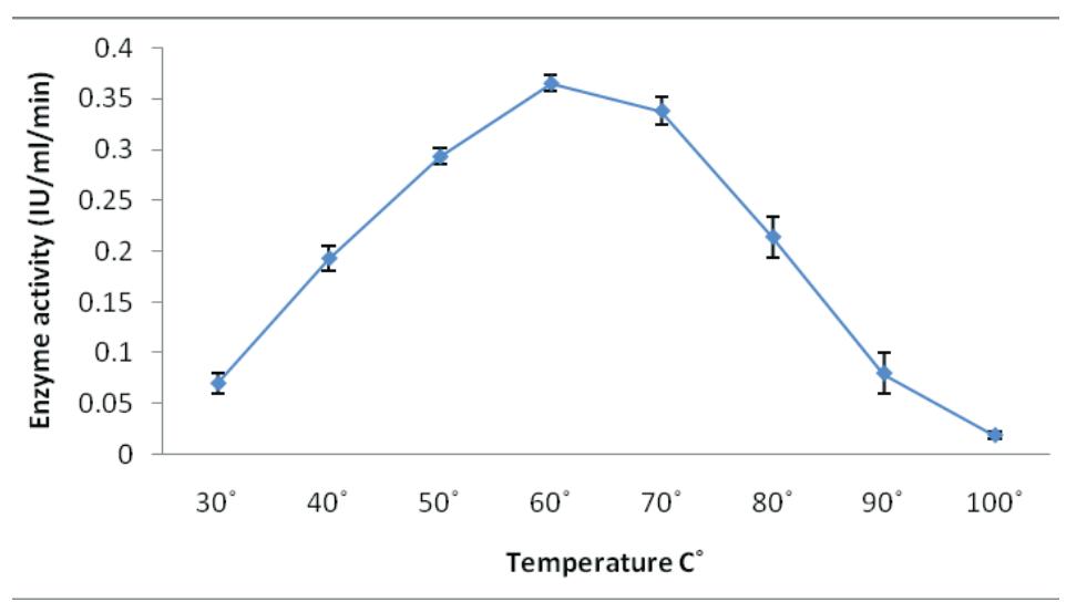 (PDF) Isolation and screening of cellulolytic bacteria from soil and ...