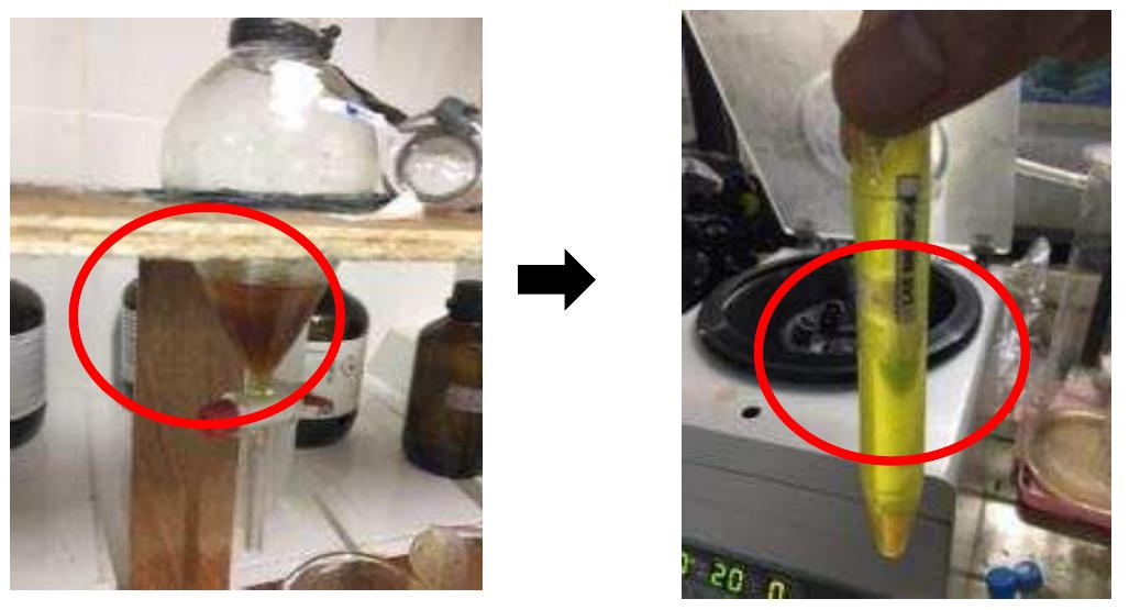 8 comparison before and a fter using centrifuge in figure