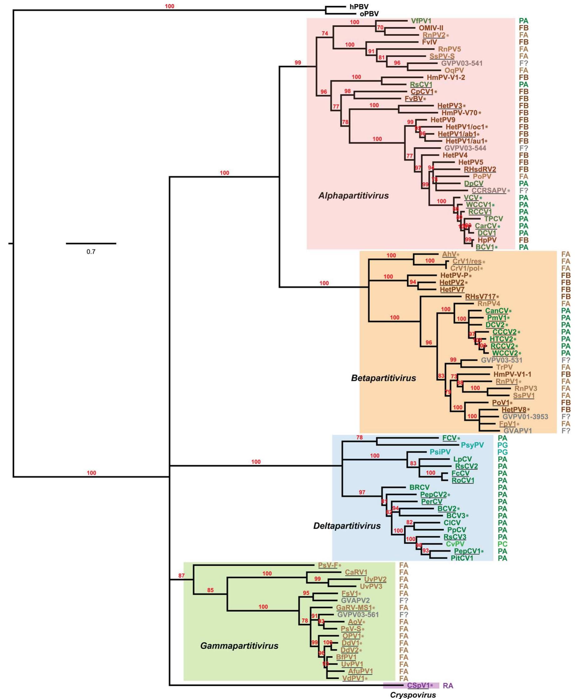 (PDF) Taxonomic reorganization of family Partitiviridae and other ...