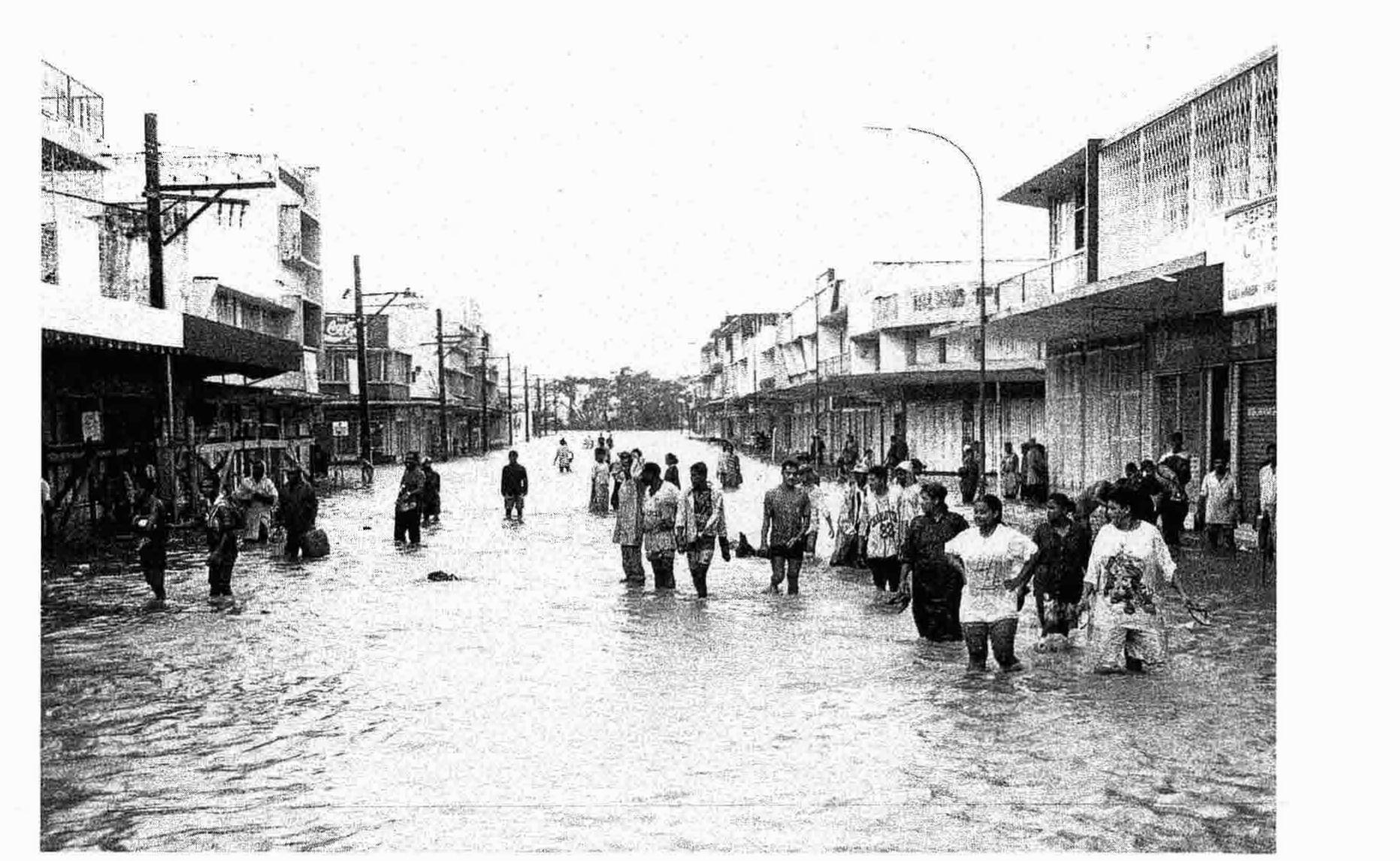 (PDF) Island Environment and Landscape Responses to 1997 Tropical ...