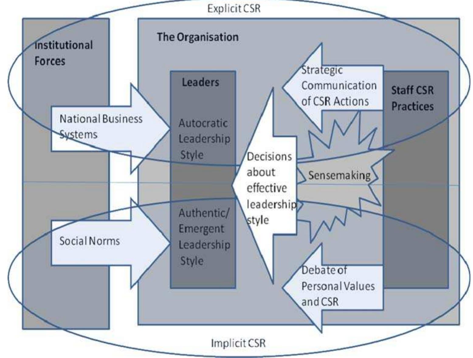 Ceo Support Csr The four levels of institutional drivers.