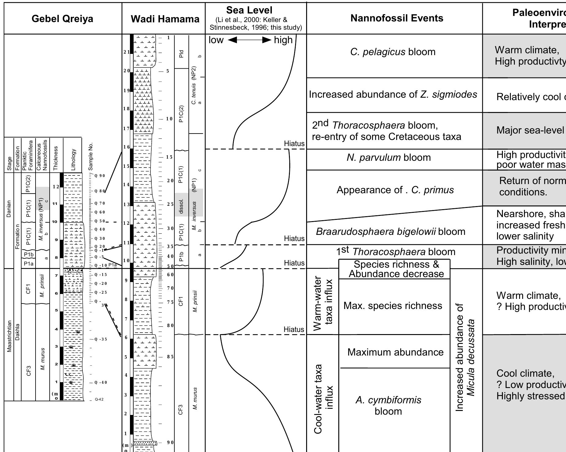 (PDF) Calcareous nannofossil biostratigraphy and paleoecology of the ...