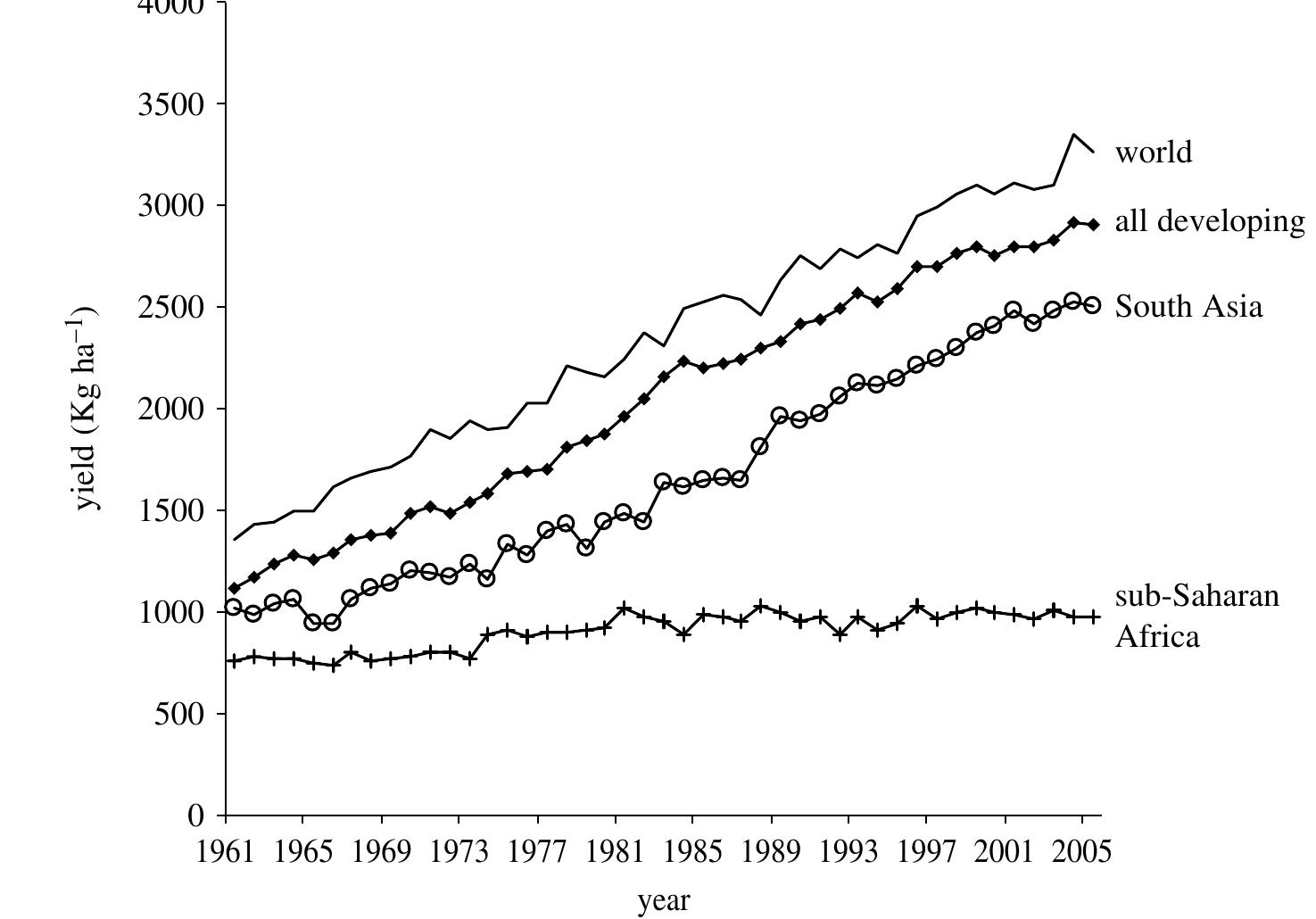 Figure 4. Global trends in cereal yield by region (1961-2005). Adapted from FAOSTAT (2006).  Figure 3. Index of total agricultural output per capita by region (index 1961-2005). Adapted from FAOSTAT (2006). 