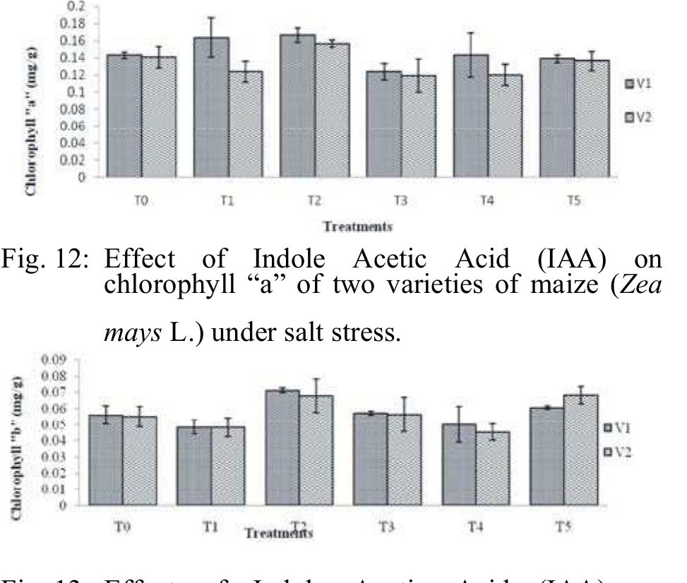(PDF) Effect of Indole Acetic Acid (IAA) on Morphological, Biochemical ...